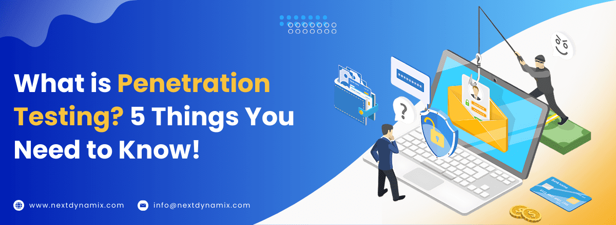What is Penetration Testing 5 Things You Need to Know!